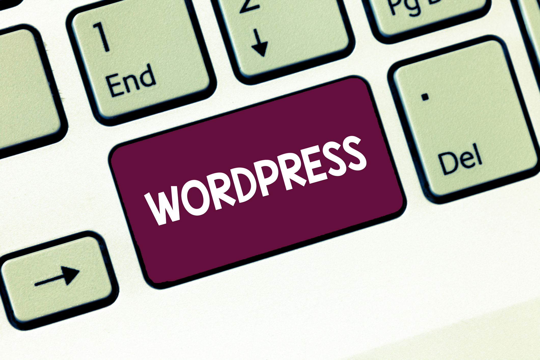 installare wordpress guida semplice per principianti