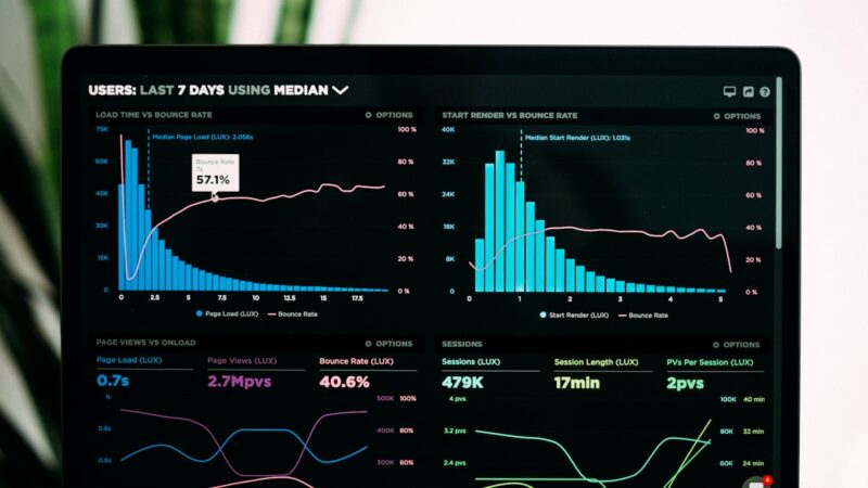 WordPress lento - dashboard analytics e performance