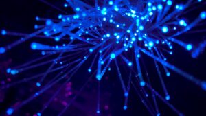 Migrazione WordPress - rete e connessioni server