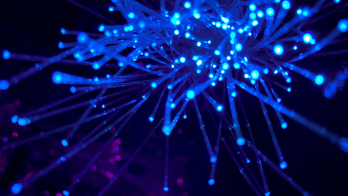 Migrazione WordPress - rete e connessioni server