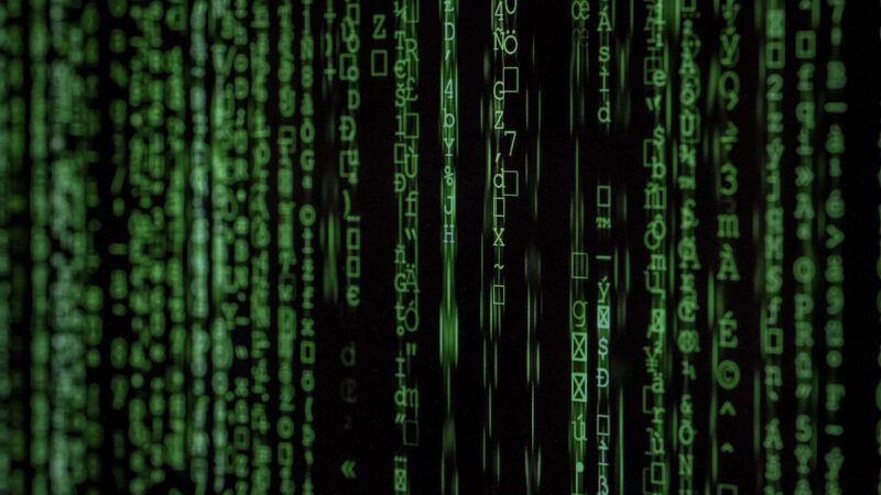 Schermata bianca WordPress - debug e codice