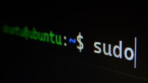 backup wordpress wp cli cron