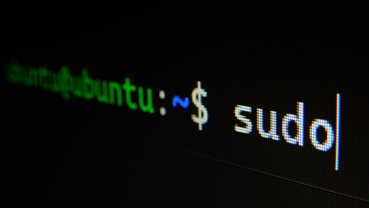 backup wordpress wp cli cron