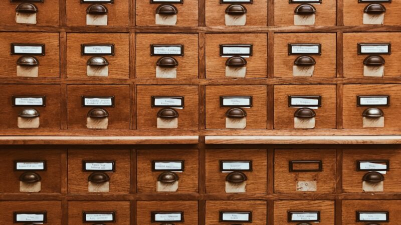 backup database wordpress phpmyadmin